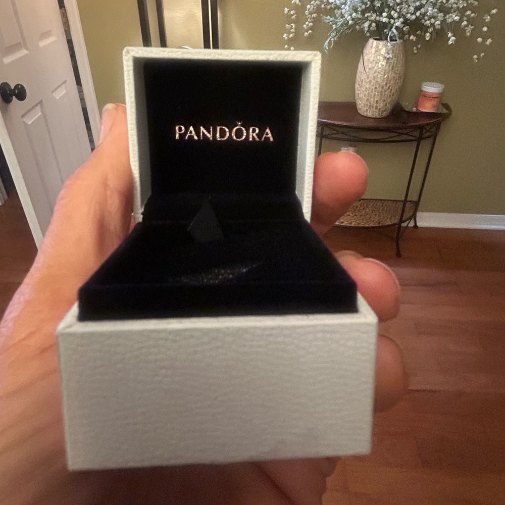 Pandora charm boxes (5)